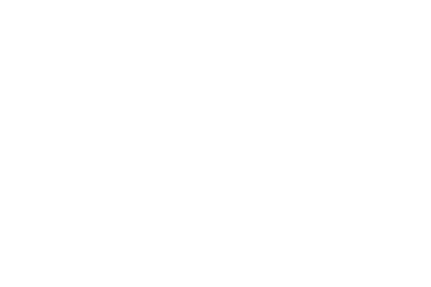 MEPHO Việt Nam